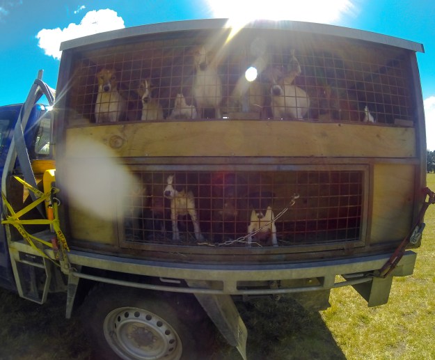 The big and little team waiting to get out.