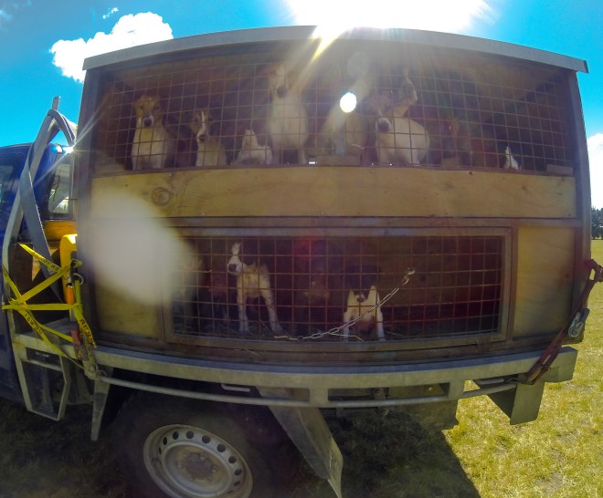 The big and little team waiting to get out.