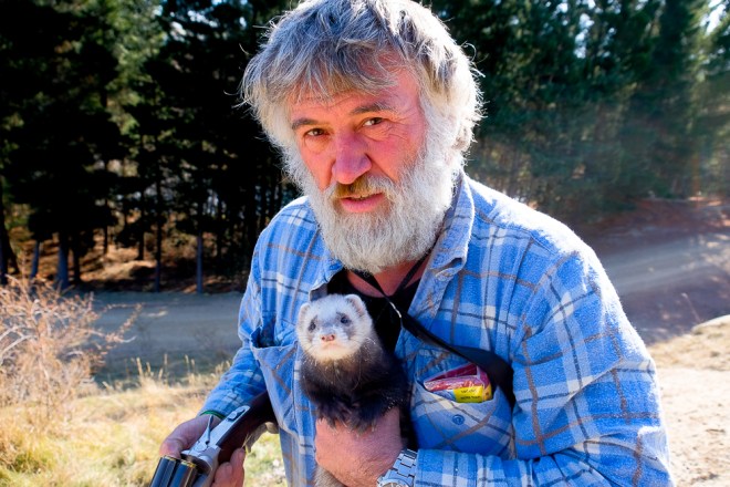 A ferret, gun and a beard