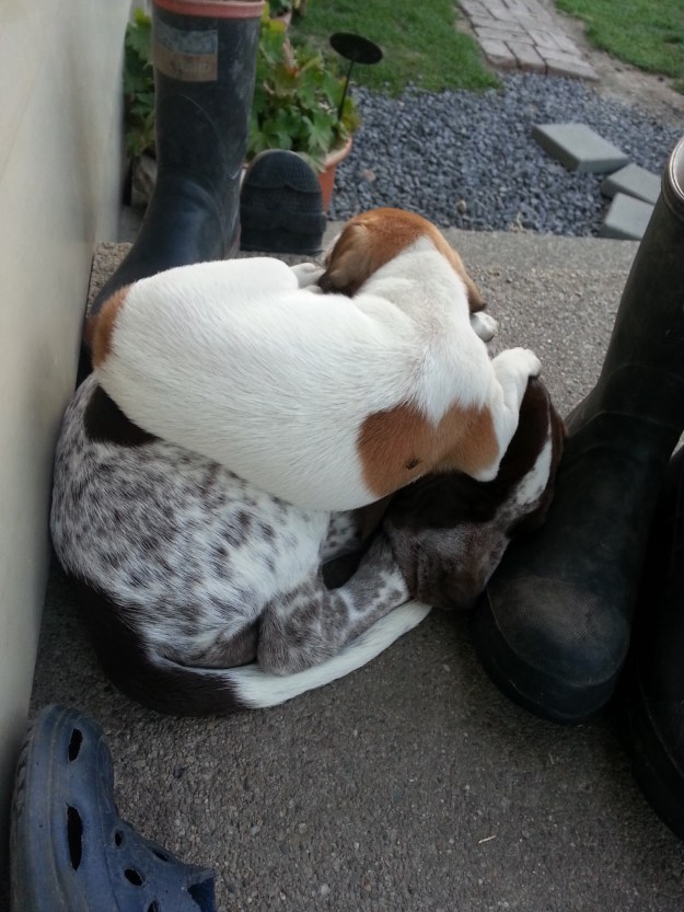 20130309_194454_Holyhead St.jpg